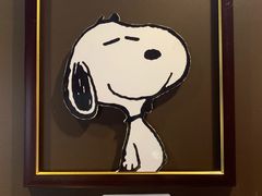 -史努比缤纷世界