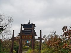 -杭州半山国家森林公园