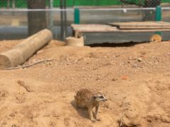 -秦皇岛野生动物园
