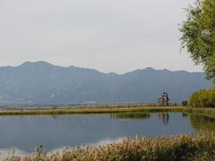 -野鸭湖国家湿地公园