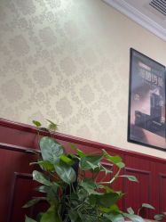 -南京医科大学友谊整形外科医院