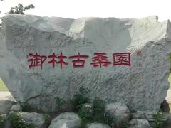 -御林古桑园