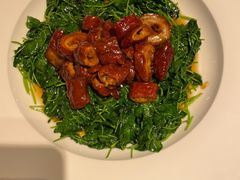 豆苗圈子-碧丽宫大酒店(召稼楼店)