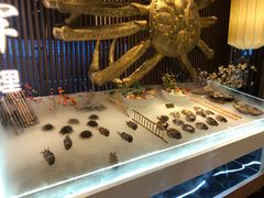 -蟹将军·松叶蟹和牛日料放题自助(K11店)
