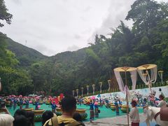 -西双版纳原始森林公园