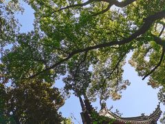 -天一阁博物院