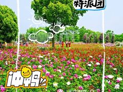 -尚贤河湿地