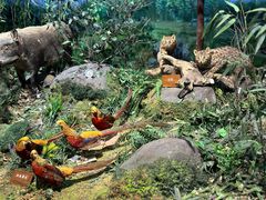 -陕西自然博物馆