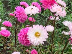 -黑龙江省森林植物园