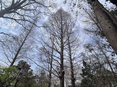 -趵突泉景区