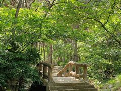 -金龙寺国家森林公园