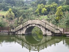 -张坝桂圆林公园