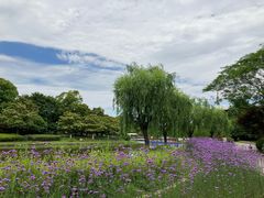 -上海鲜花港