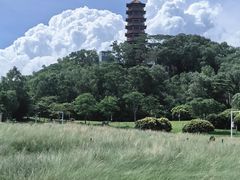 -红花山公园