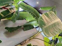 -单家老院·院子里的青岛菜(沙子口店)