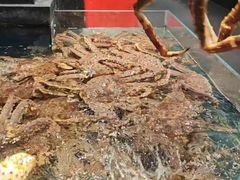 -龙宴海鲜城(经中路店)