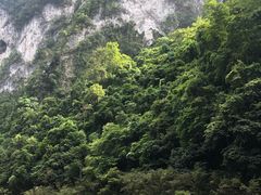 -大七孔景区-天生桥