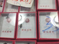 -万商花鸟市场