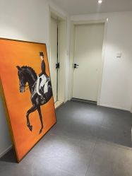 -春田皮肤管理中心品牌旗舰店