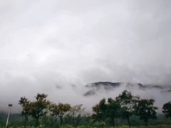 -紫云台香草园