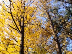 -奥林匹克森林公园南门-停车场