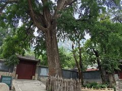 -北京凤凰岭