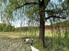 -沈阳森林动物园