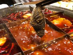 鲜毛肚-纸盐河码头火锅(十八梯店)