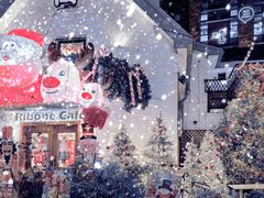 -弗兰克牛排西餐厅Ribone steak house(柠檬花园店)