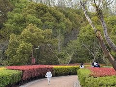 -同里国家湿地公园