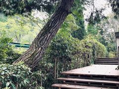 -黄山太平湖风景区