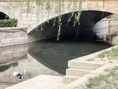 -元大都城垣遗址公园