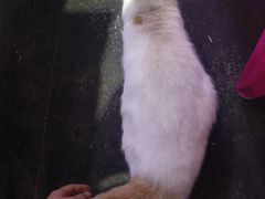 -武汉交通职业学院
