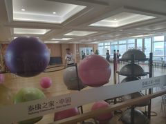 -泰康之家·申园