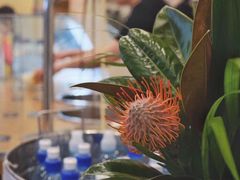 大堂-Patagonia Chocolates(皇后镇店)