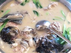 -丁老爷子苏香圆