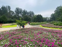 -秦皇岛野生动物园
