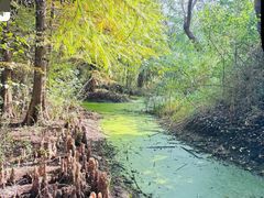 -溱湖国家湿地公园