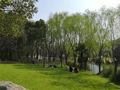 -昆山城市生态森林公园