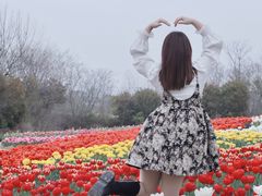 -金卉庄园