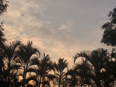 -大屏嶂森林公园