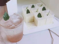 -房东的猫宠物生活馆