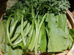 青菜合盘-东道煮牛肉火锅(东盛大街店)