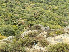 -帽儿山风景区