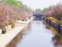 -元大都城垣遗址公园