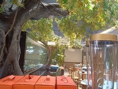 -阳光院坝小龙虾(红牌楼店)
