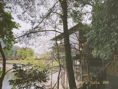 -江西阳明山国家森林公园