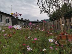 -清风小镇闯关东影视基地