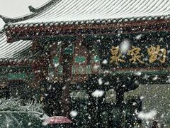-山东省立医院(中心院区)
