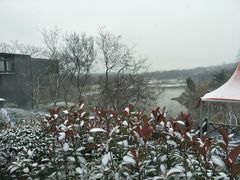 -汤山温泉房车营地 茶温泉